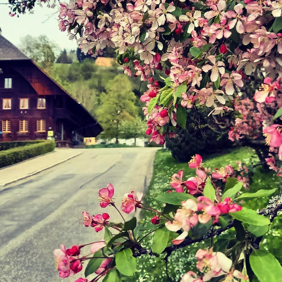 Emme Lodge Лангнау Экстерьер фото