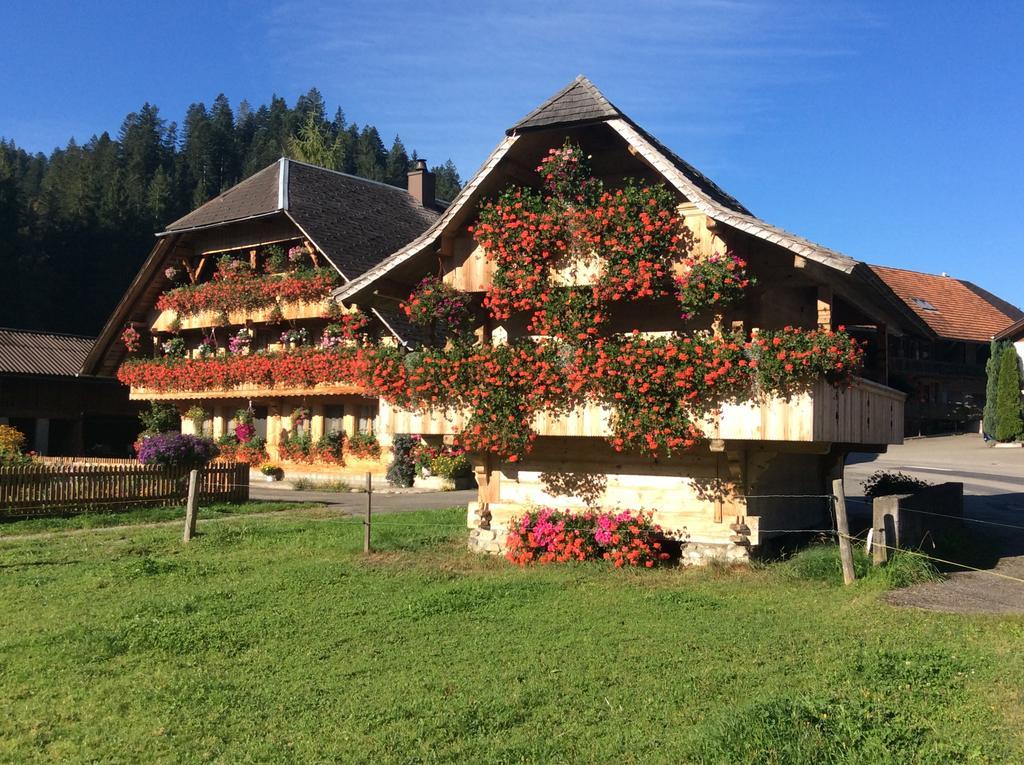 Emme Lodge Лангнау Экстерьер фото